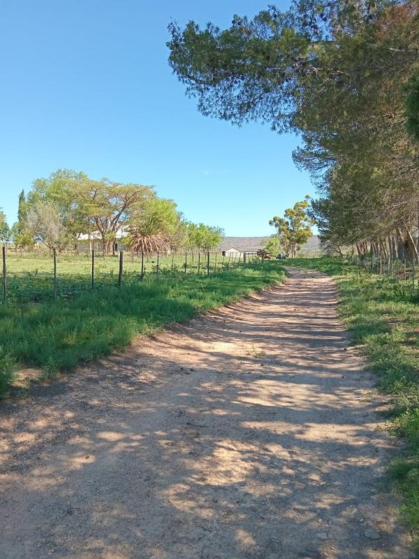 4 Bedroom Property for Sale in Grahamstown Eastern Cape
